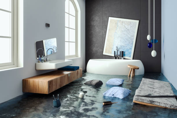 Best Professional water damage repair  in Lusby, MD