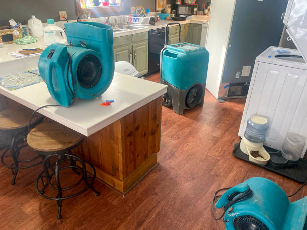 Best Carpet water damage restoration  in Lusby, MD