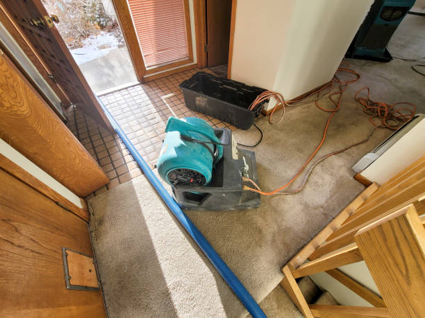 Best Local water damage restoration  in Lusby, MD