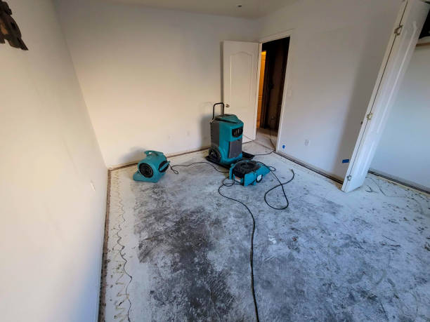 Best Water damage restoration near me  in Lusby, MD