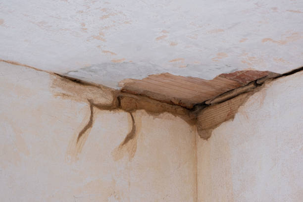 Best Flood restoration services  in Lusby, MD