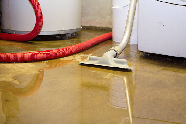 Best Sewage cleanup and water damage restoration  in Lusby, MD