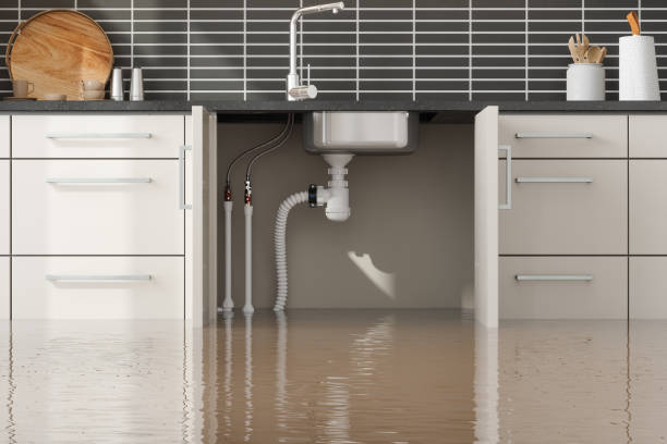 Best Water damage cleanup near me  in Lusby, MD